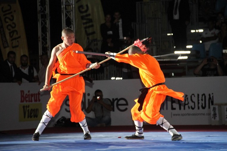 Martial Arts Festival